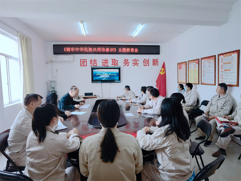 3.半岛(中国)市场公司组织少数民族党员职工观看宣传视频.jpg